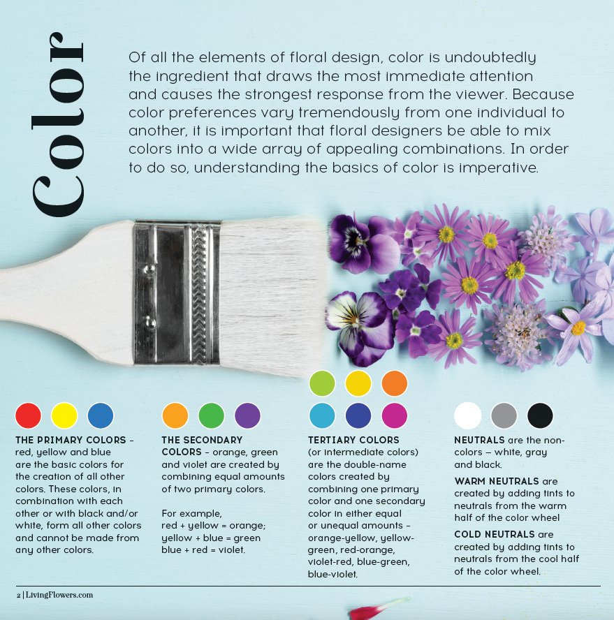 Florists' Color Wheel: A Guide to Floral Design Color Theory – FlowerBox